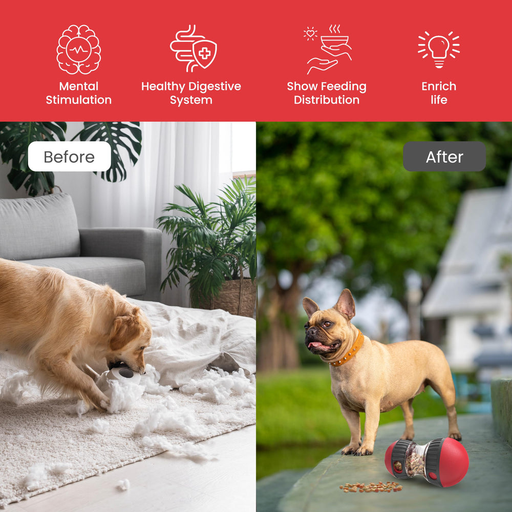 TRECKPET mealtime-brain-training-toy turns meals into cognitive challenges and enrichment.