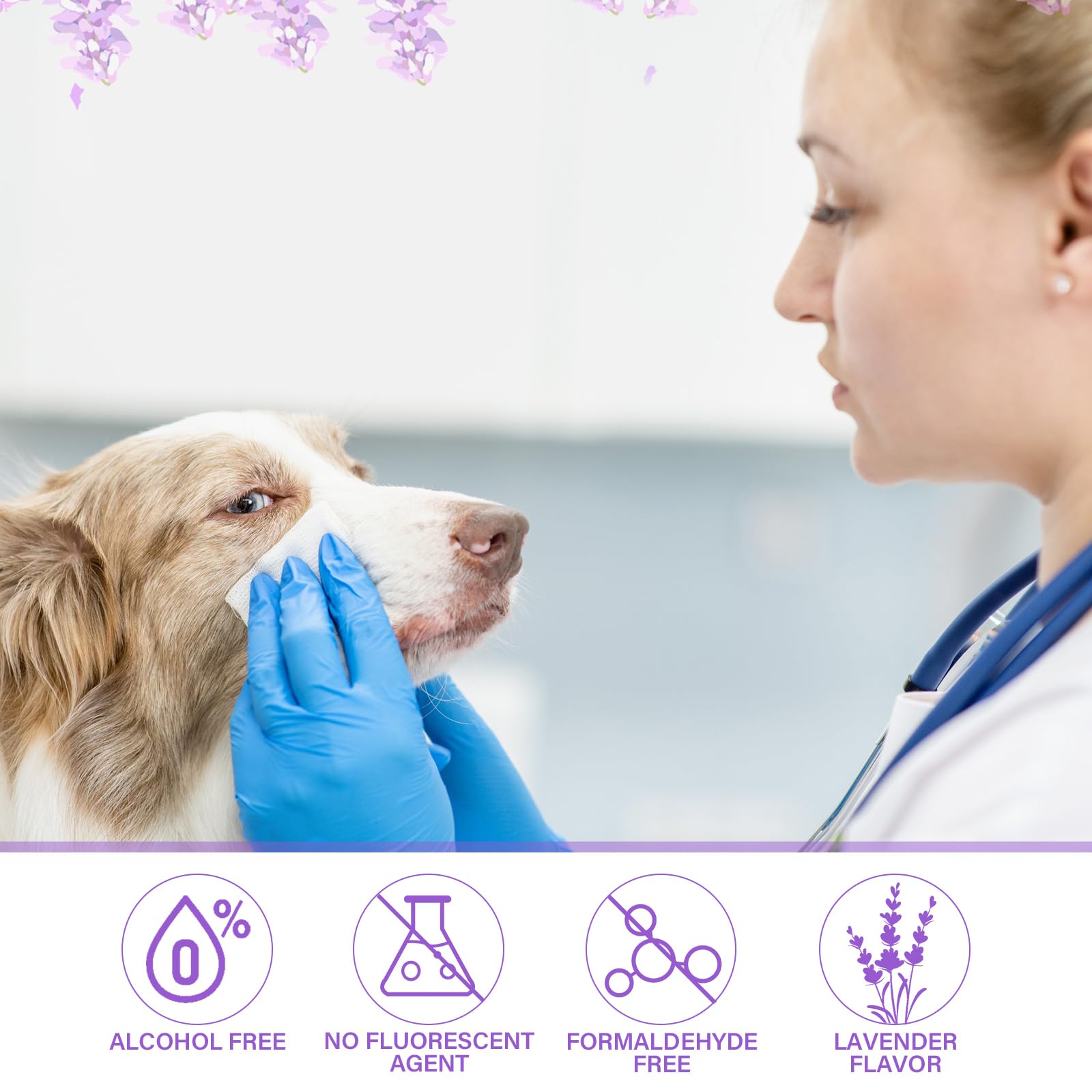 Treela dog wipes applied to paws after a walk for clean feet.