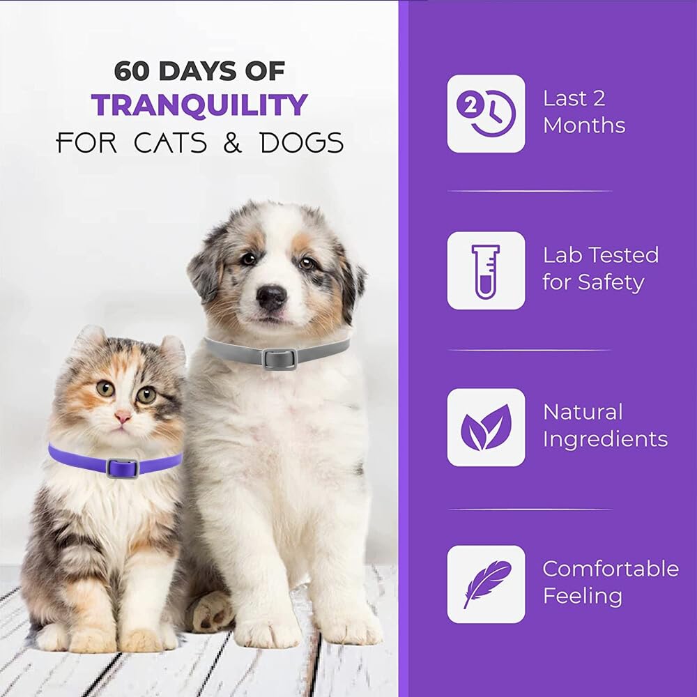 Trendy Hub cat safety buckle ensures secure wear during play