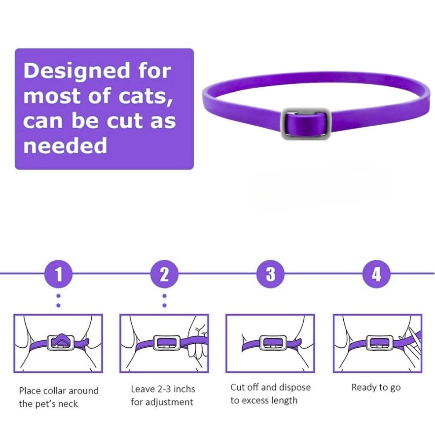 Trendy Hub durable collar in daily wear demonstrates long lasting use