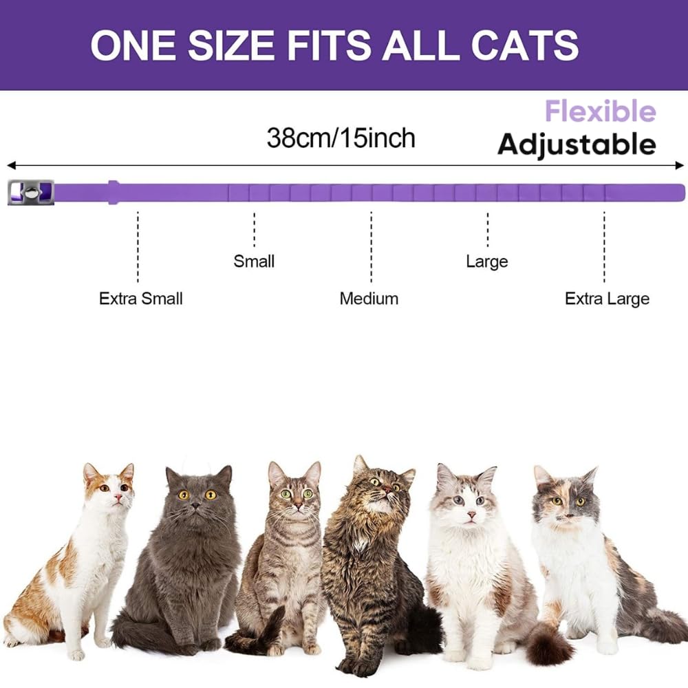 Trendy Hub indoor outdoor use scene shows versatile calming collar for homes