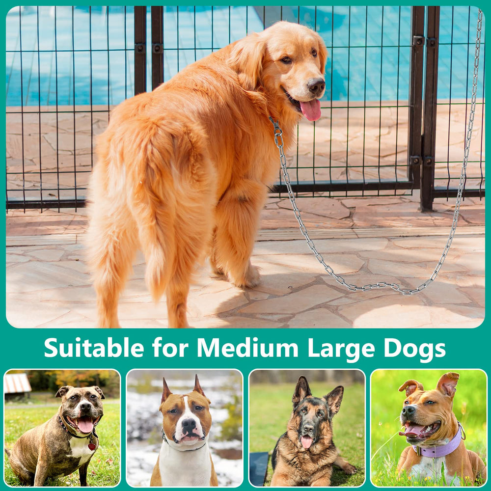 Tresbro 25ft outdoor park setting demonstrates ample space for hiking and camping with dogs.