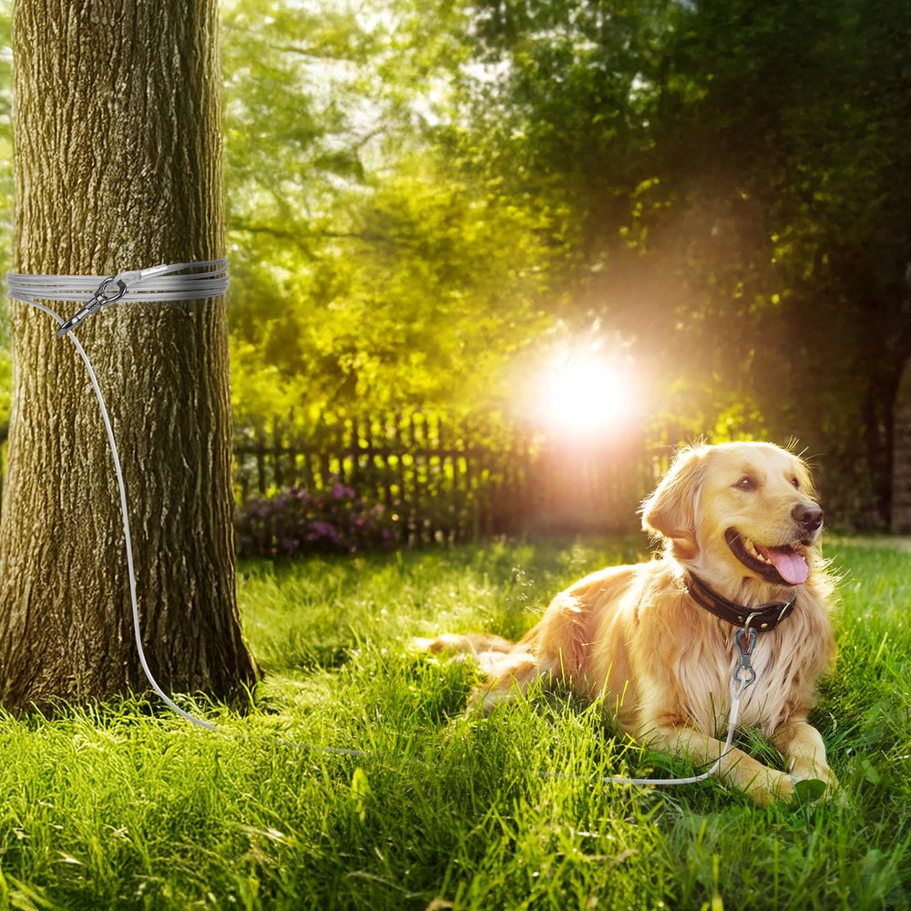 Tresbro 40 feet of movement space for larger dogs in yard use