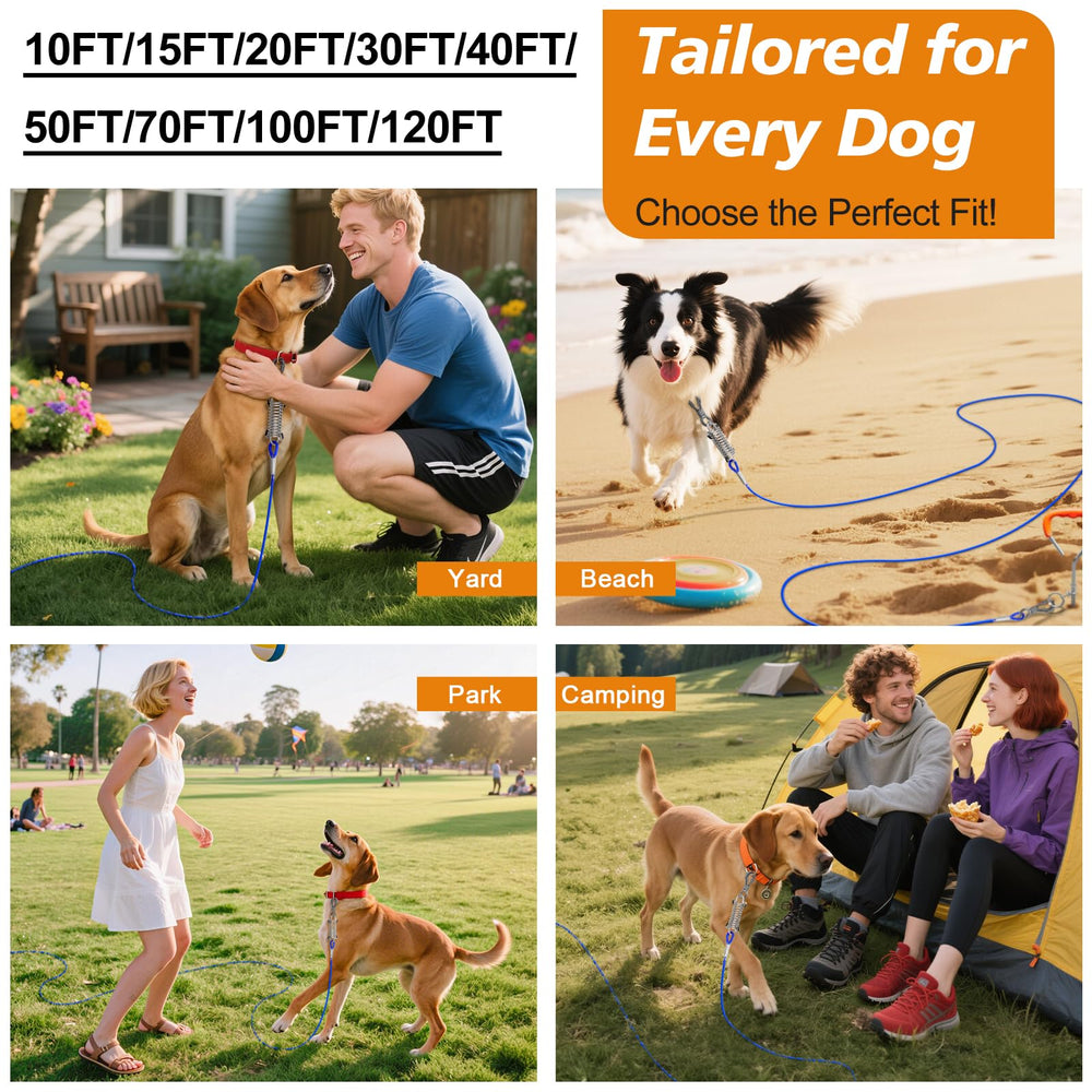 Tresbro 50 ft option gives more roaming space for larger dogs.