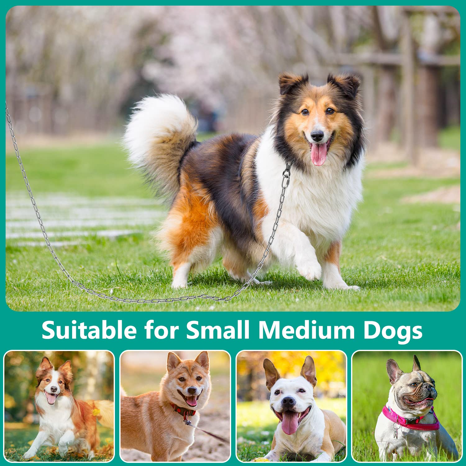Tresbro steel chew-proof construction withstands playful chews and outdoor elements.