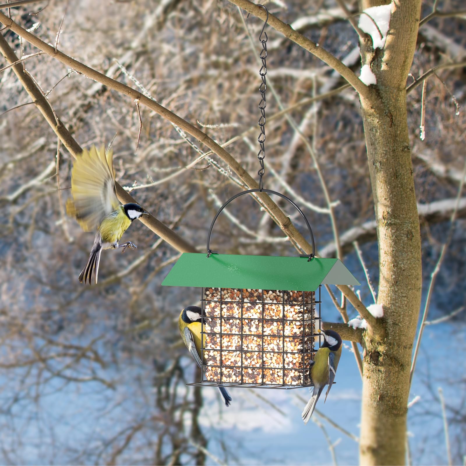 Trieez durable steel bird feeder designed for long-lasting outdoor use