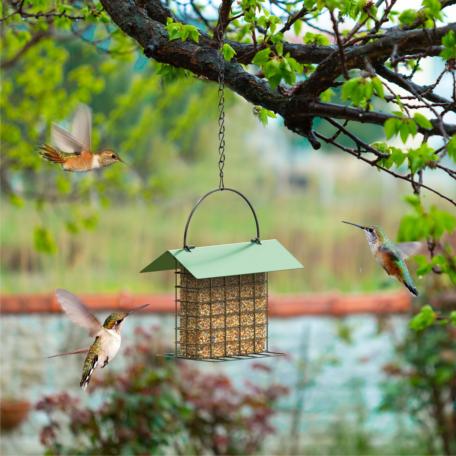 Trieez suet feeder provides clear view of visiting birds