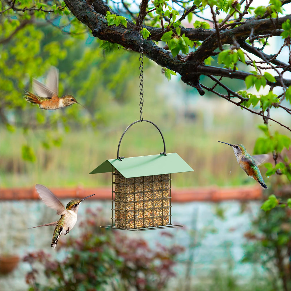 Trieez suet feeder provides clear view of visiting birds