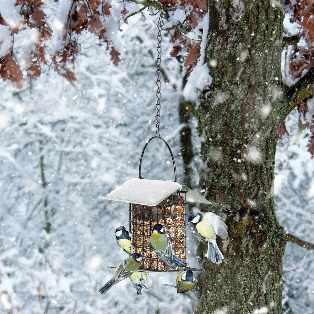 Trieez weatherproof bird feeder keeps feeding possible in diverse conditions