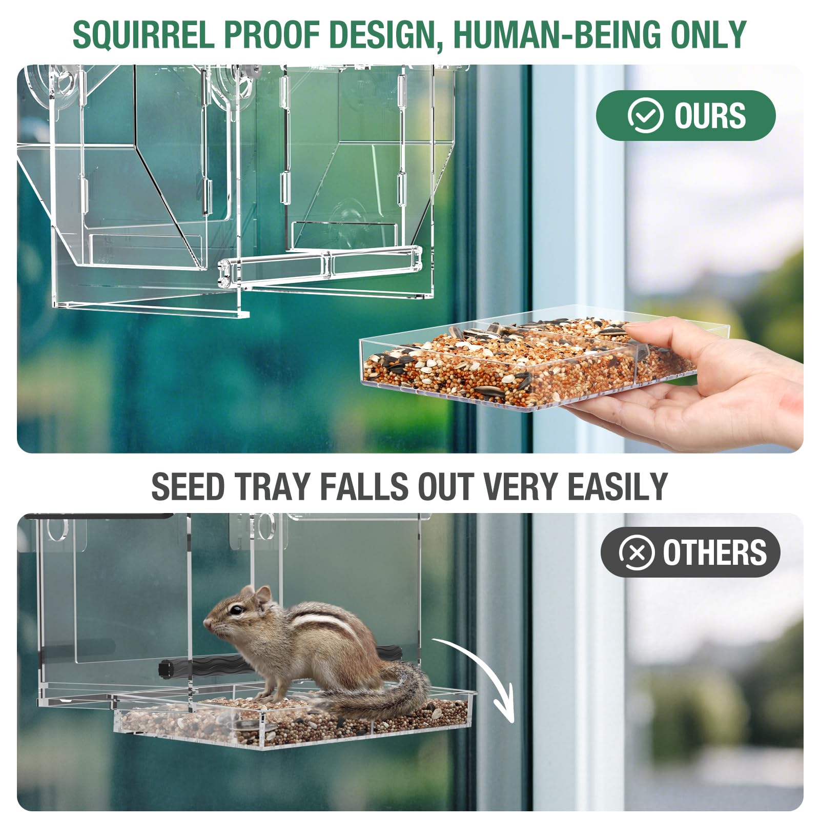 Trieez Window Bird Feeder clear-view area supports cardinals and other birds