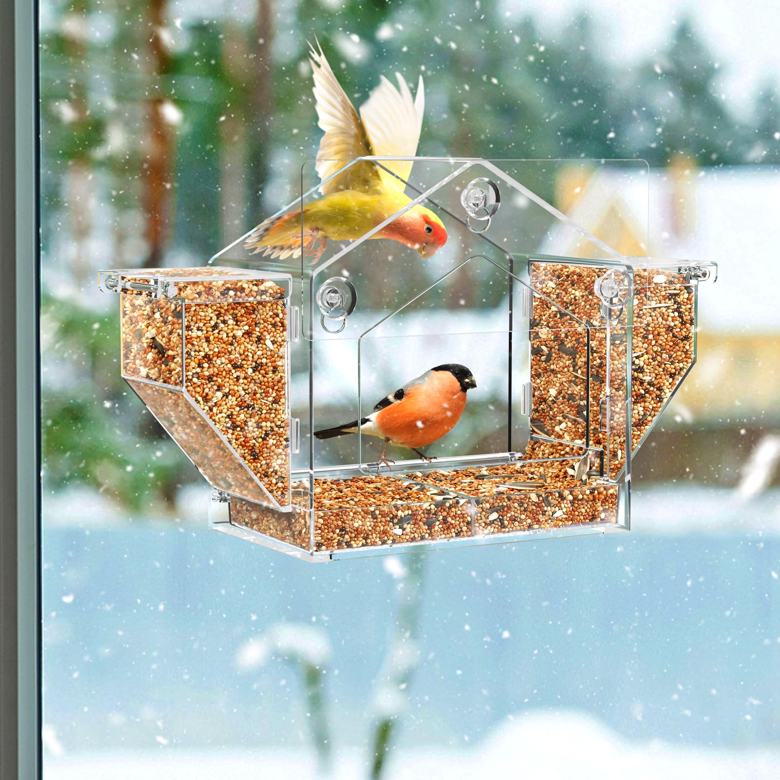 Trieez Window Bird Feeder in-use on a window during backyard watching