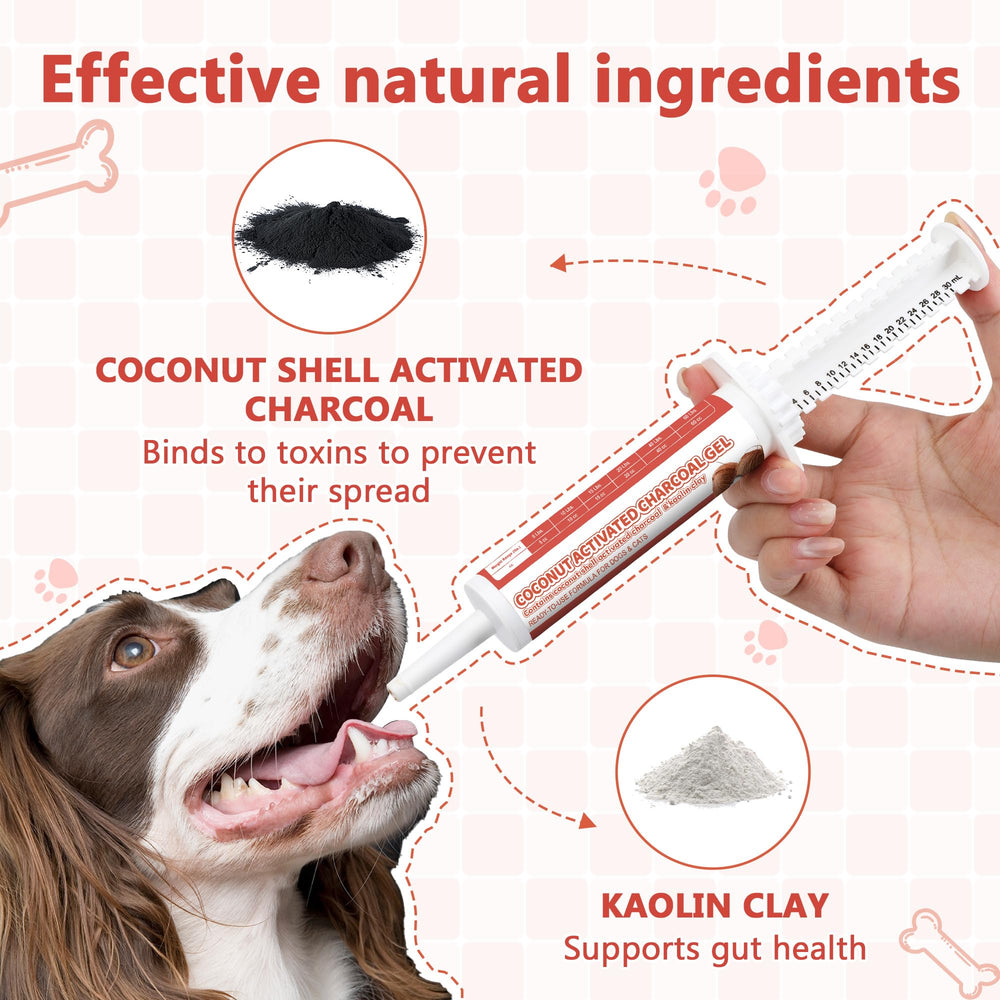 Trihood Activated Charcoal Paste ingredients kaolin-charcoal shown as natural digestive blend