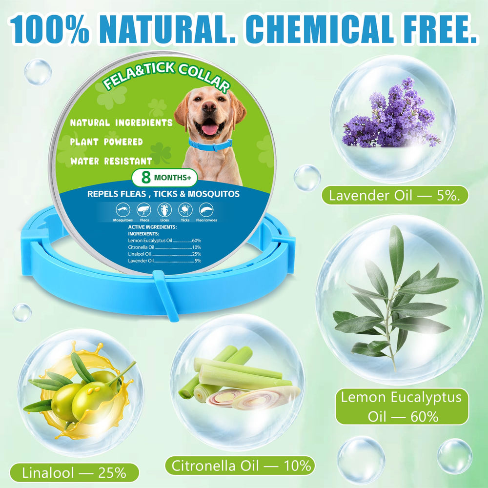 Trihood adjustable dog collar blue closeup highlighting custom fit for all breeds