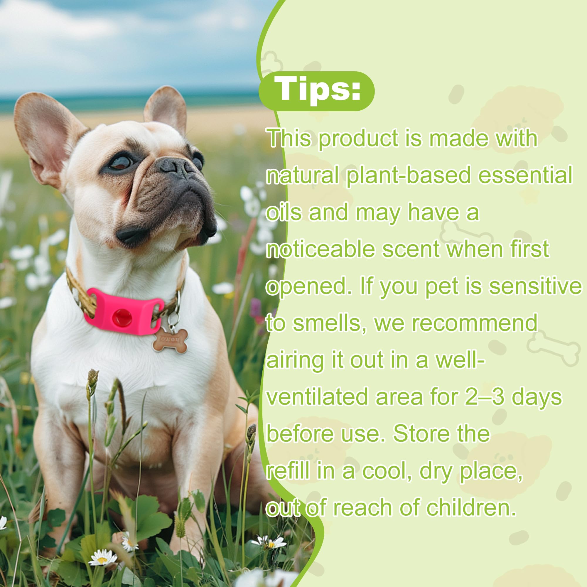 Trihood dog tag all-breeds suitable, ideal for daily walks.
