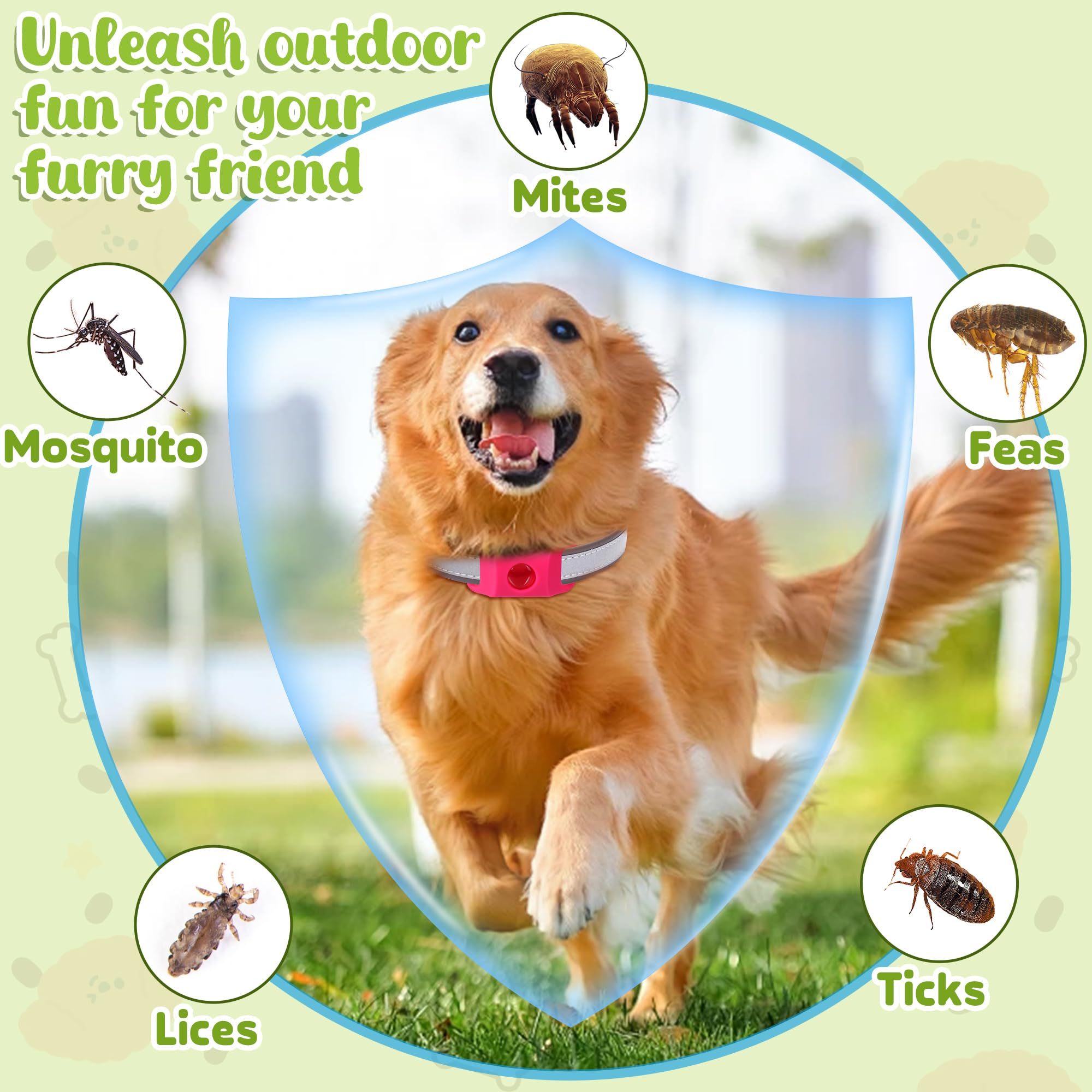 Trihood dog tag outdoor adventure scene showing durable, water-friendly performance.