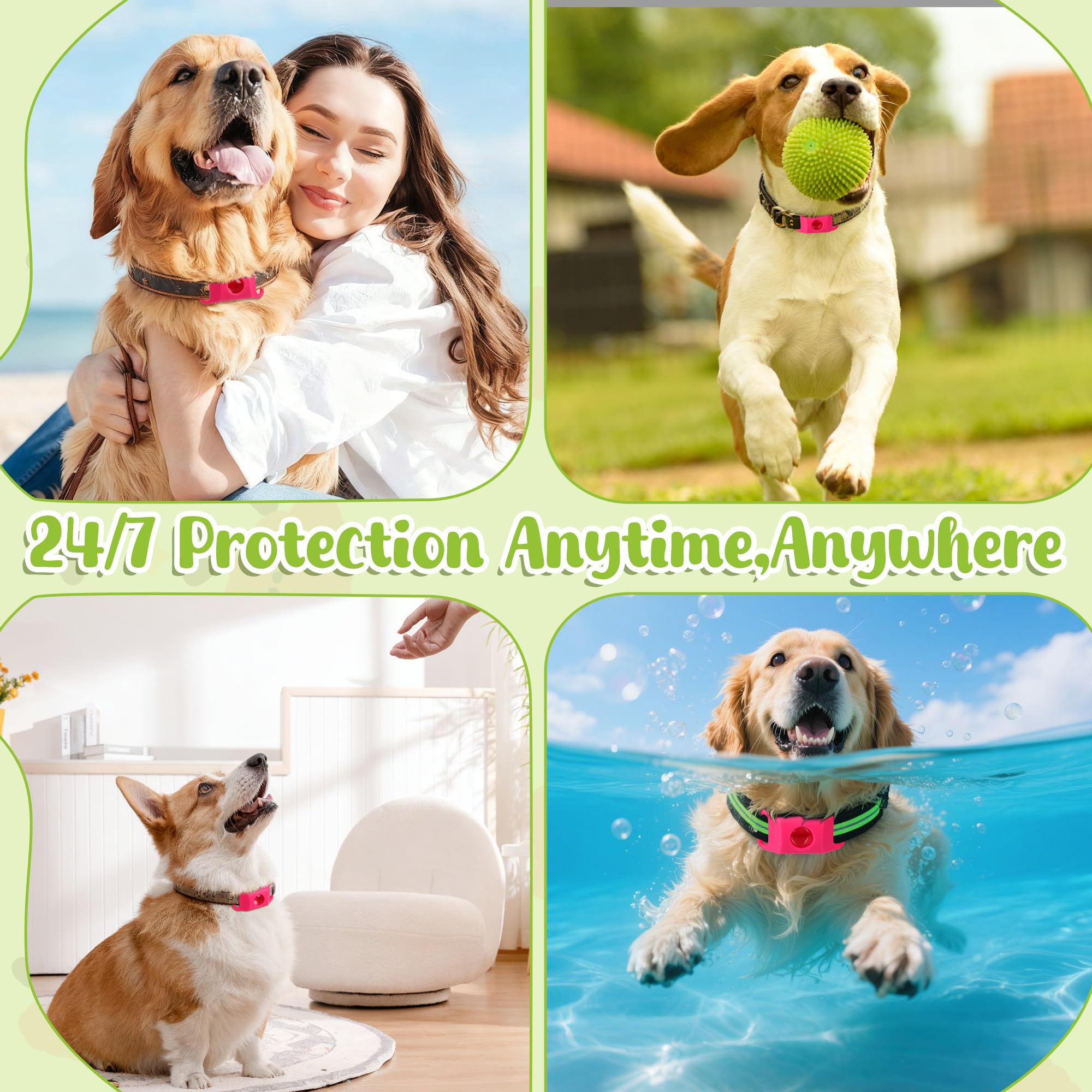 Trihood dog tag safe materials for all breeds, stress-free wear.