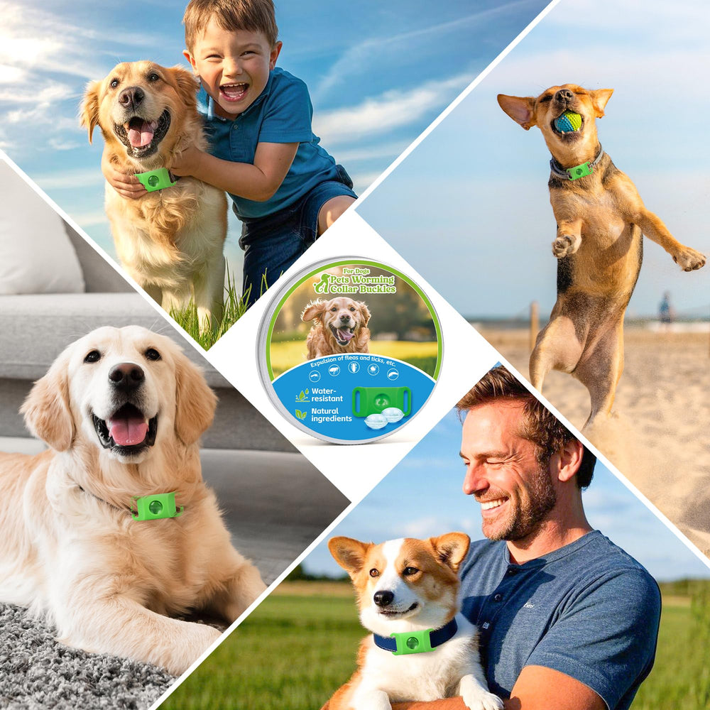 Trihood dog tag in outdoor setting, illustrating adventures with natural protection.