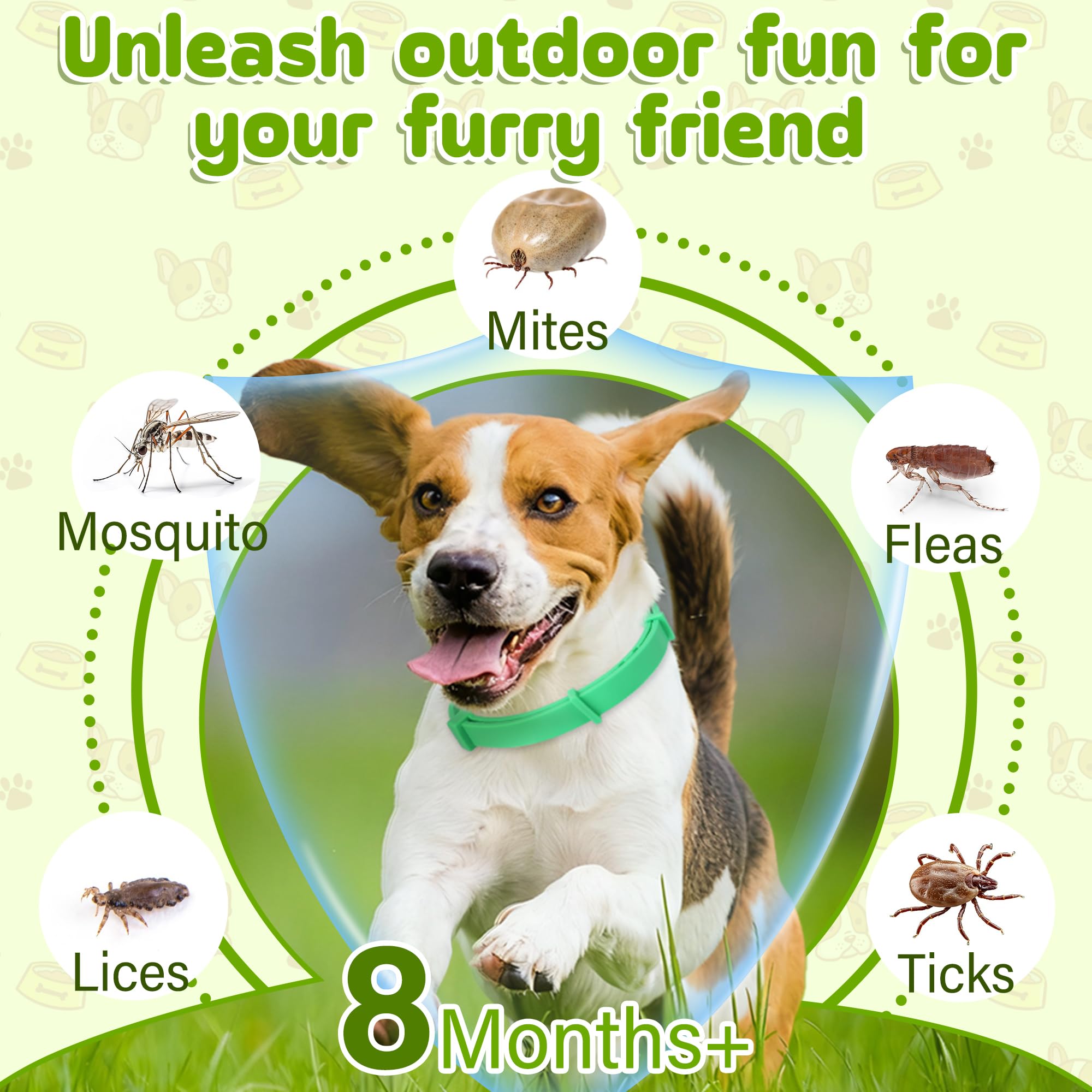 Trihood adjustable close-up of collar buckle and material for durability.