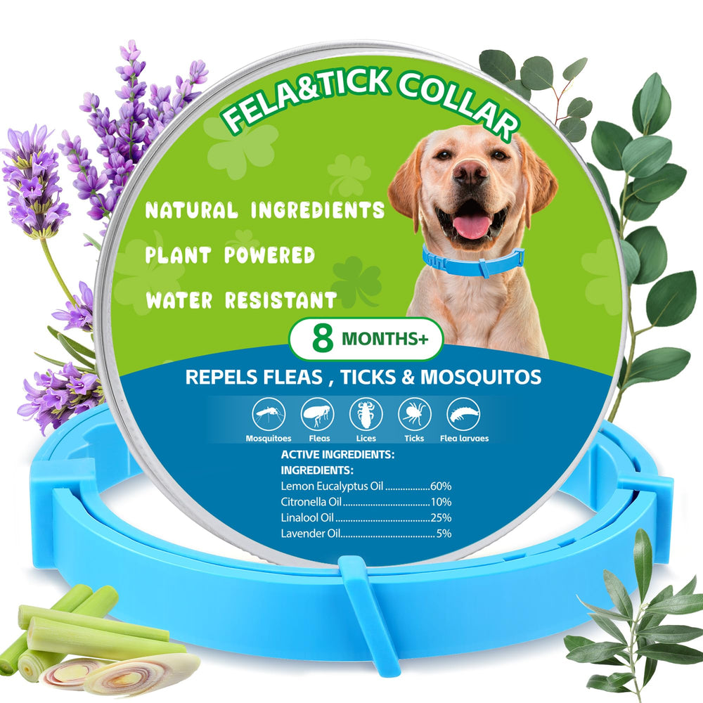 Trihood natural flea-tick collars blue pack 2-pack shown for outdoor adventures
