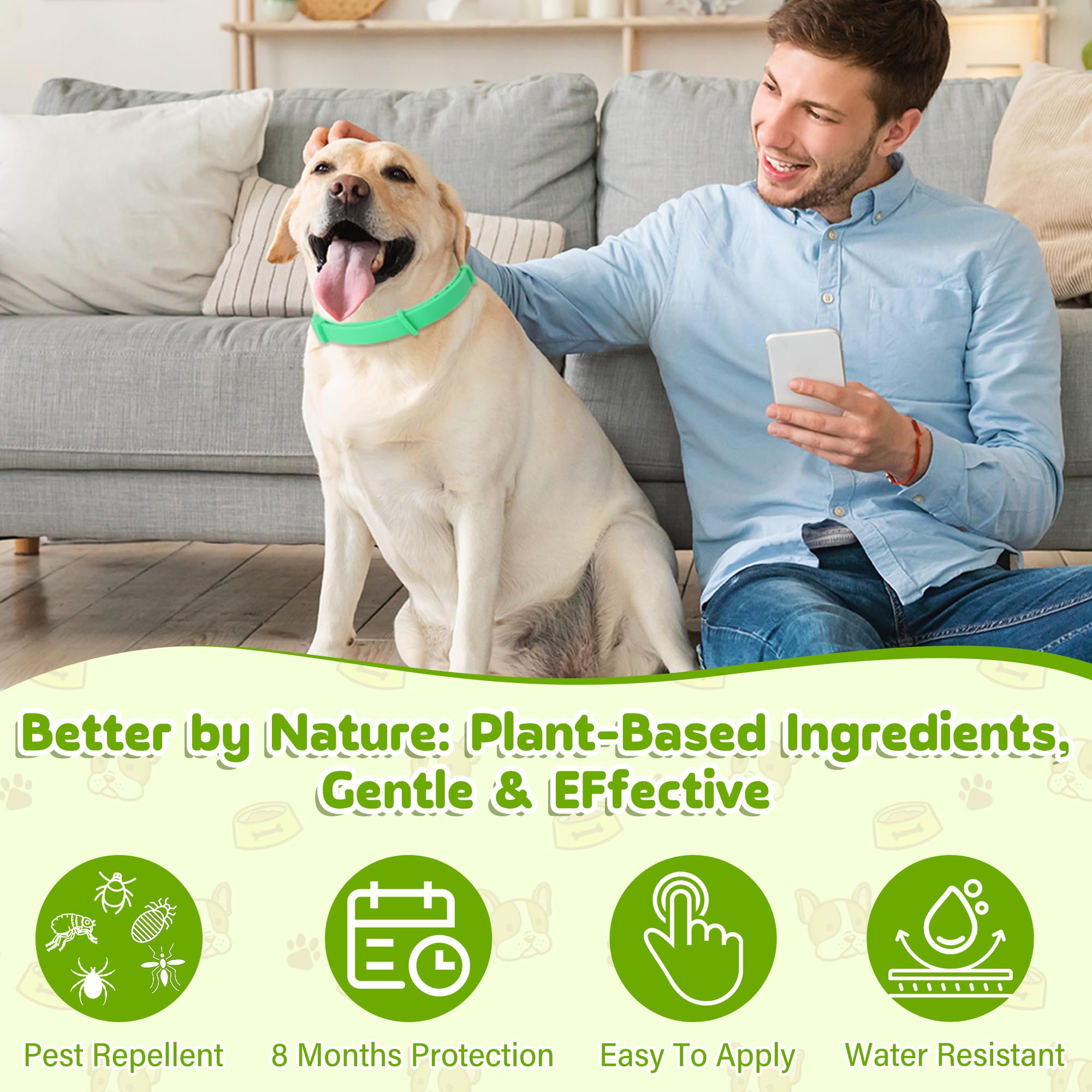 Trihood two collars in use by a dog during everyday play.