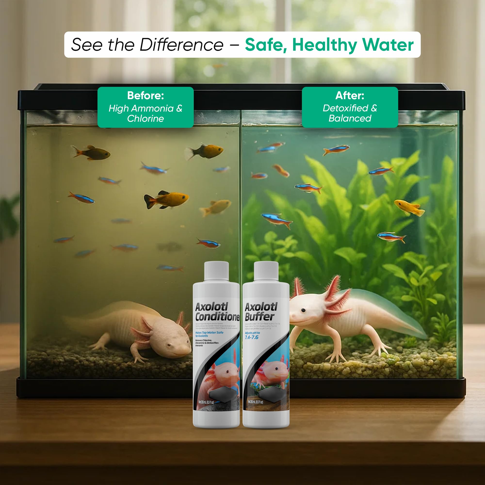 Trinity Treats axolotl tank setup in-use shot illustrates simple routine care.