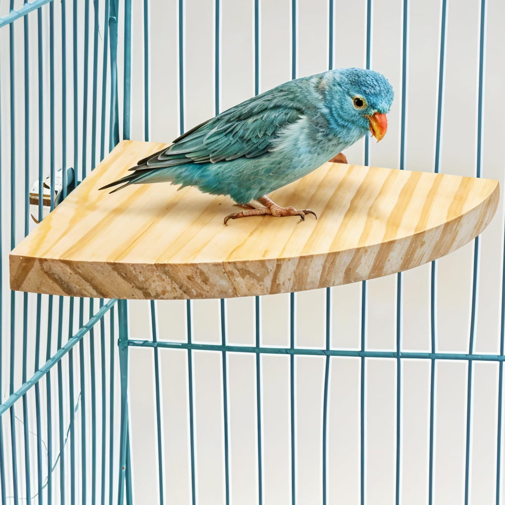 Trinkrittey Bird Perch Platform 17cm side view in cage