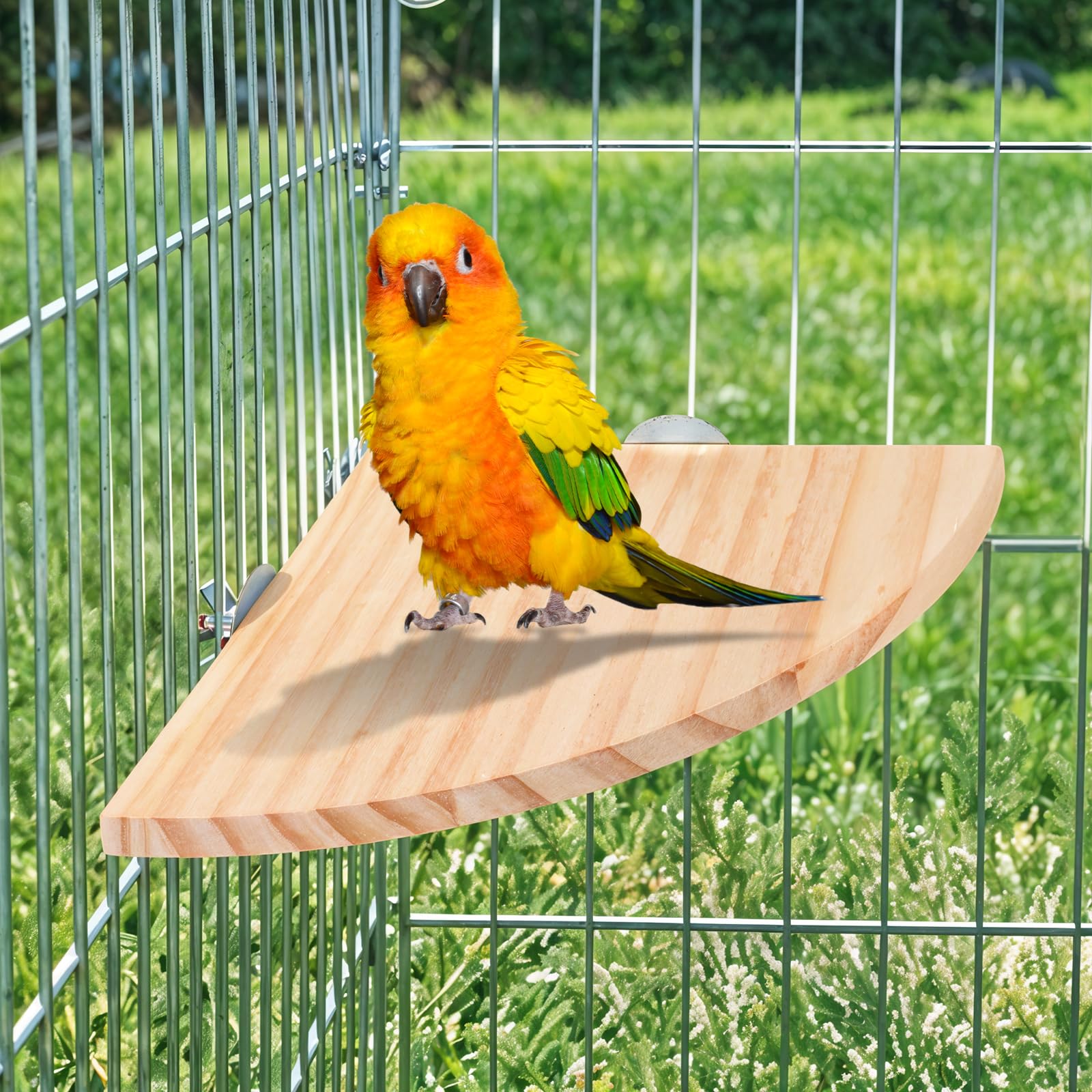 Trinkrittey Bird Perch Platform packaging with stand, gaskets and nuts