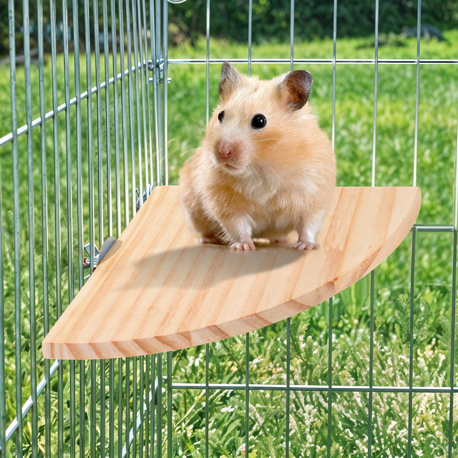 Trinkrittey Bird Perch Platform used by small pets in habitat