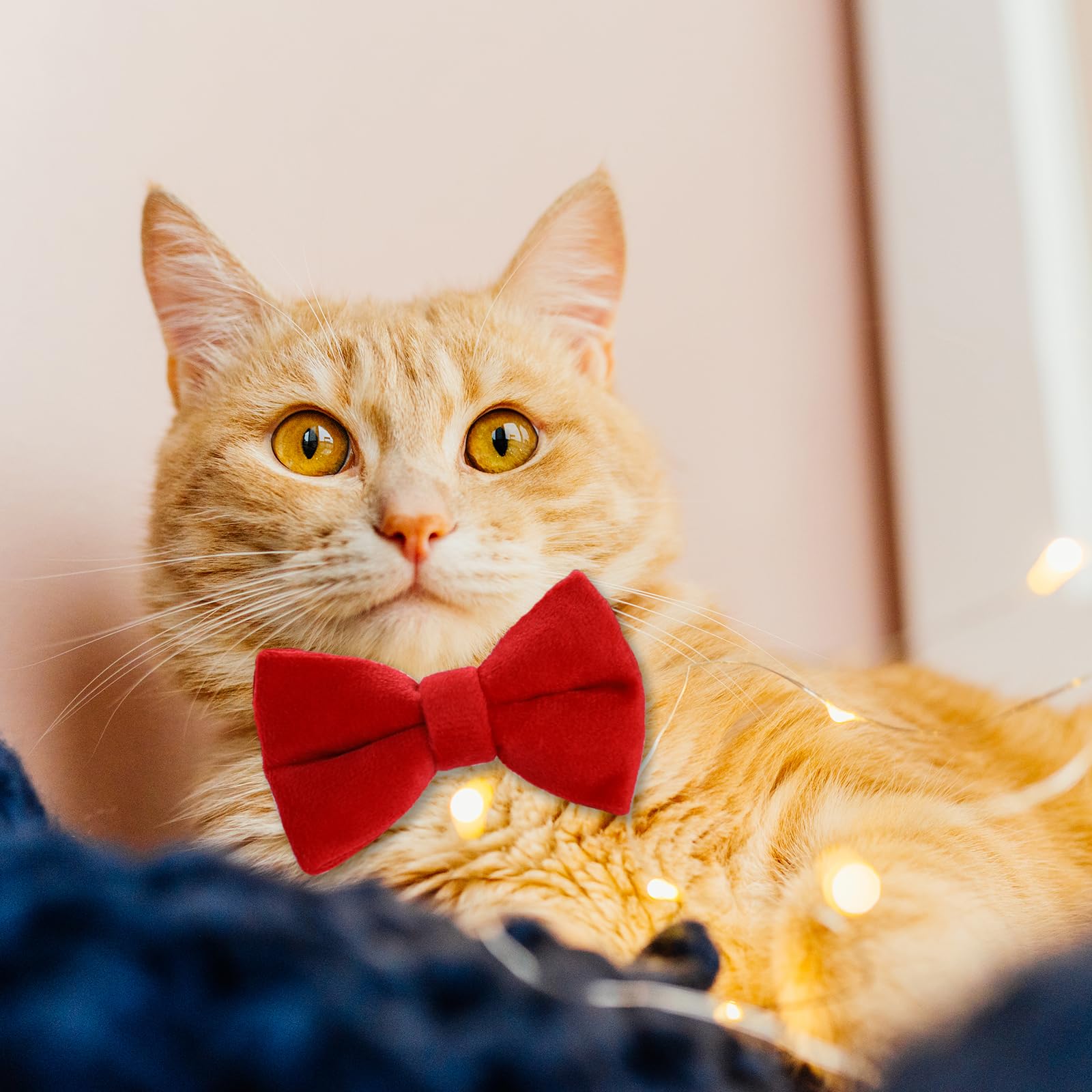 Trinkrittey cat collar packaging in bagged packaging for protection.