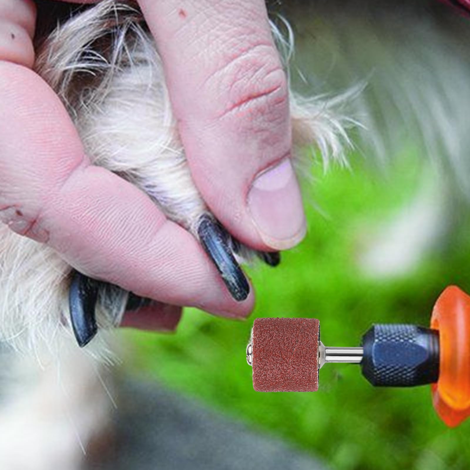 Trinkrittey kit packaging showing 12 large and 12 small sanding bands.