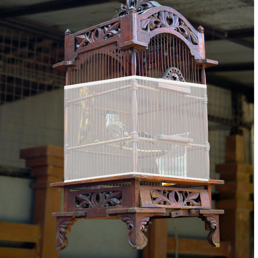 Trinkrittey 30 height design keeps enclosure tidy during feeding