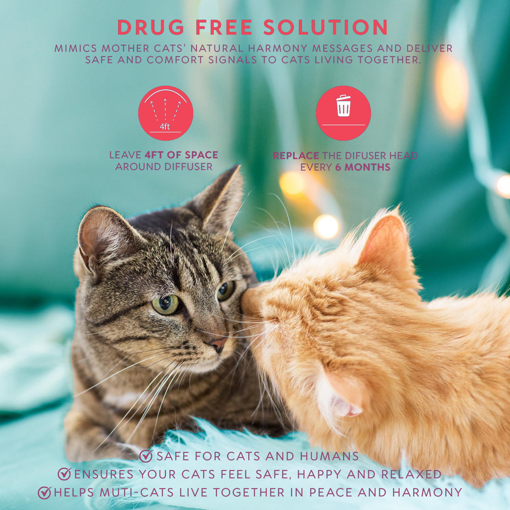 TriOak cat pheromones diffuser supports a relaxed cat during loud events