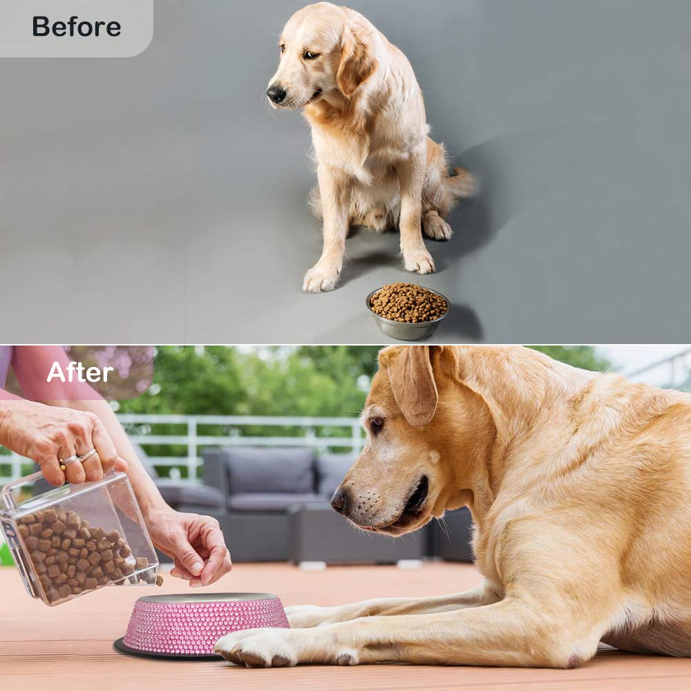Triumilynn two-pack set provides convenient, separate bowls for pets' meals