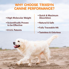 TRIXSYN Canine Performance label closeup highlights the patented MHB3 hyaluronan formula benefits.