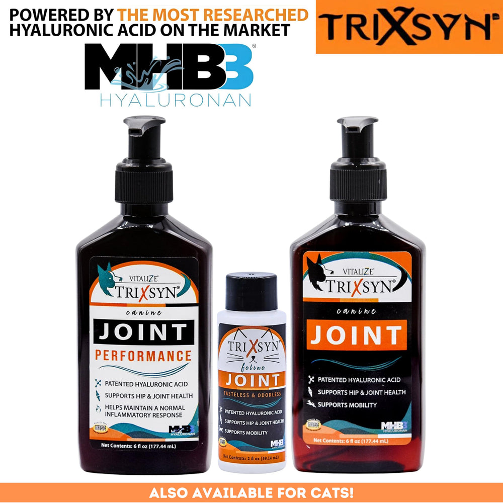 Product on shelf ready for ongoing hip and joint comfort for active dogs.