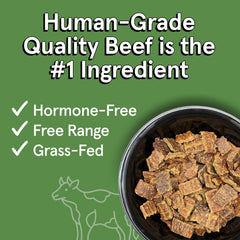TRMC air-dried beef bites close-up highlighting high-protein texture