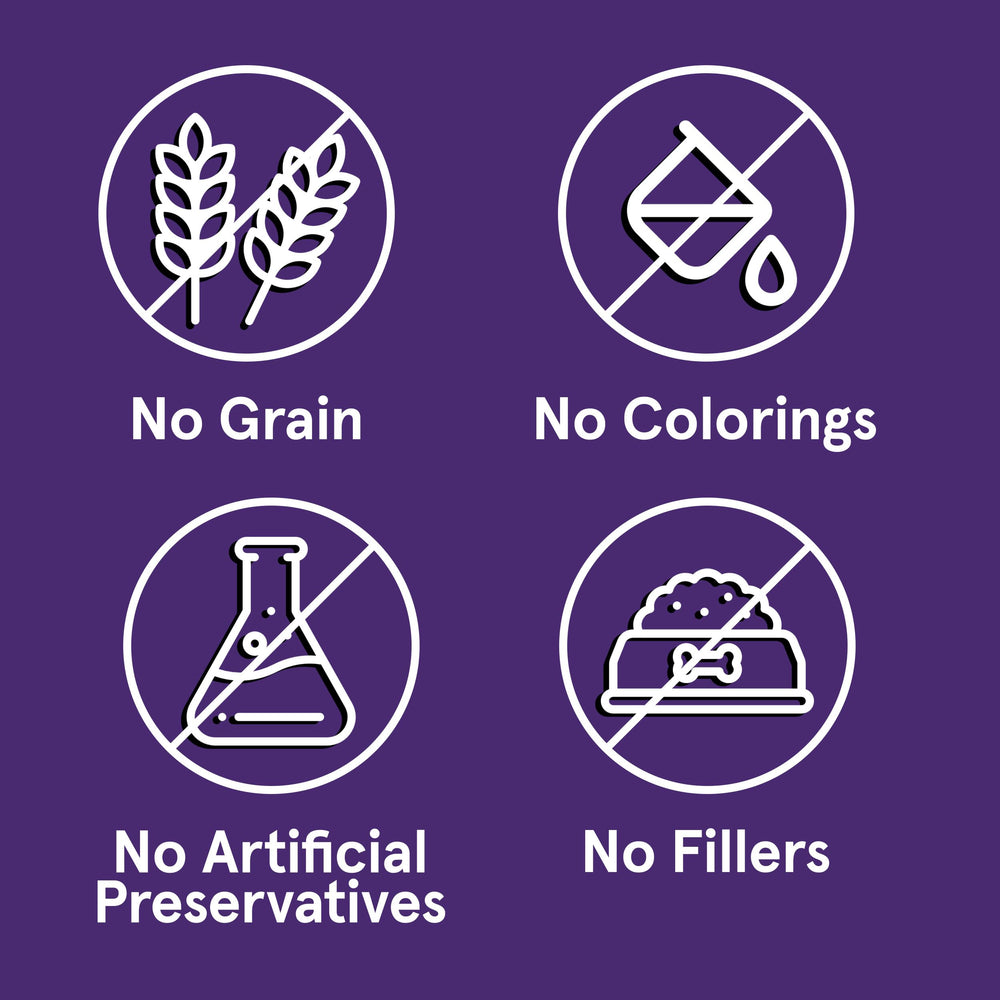 TRMC Air-dried lamb dog food in a bowl, ready to serve