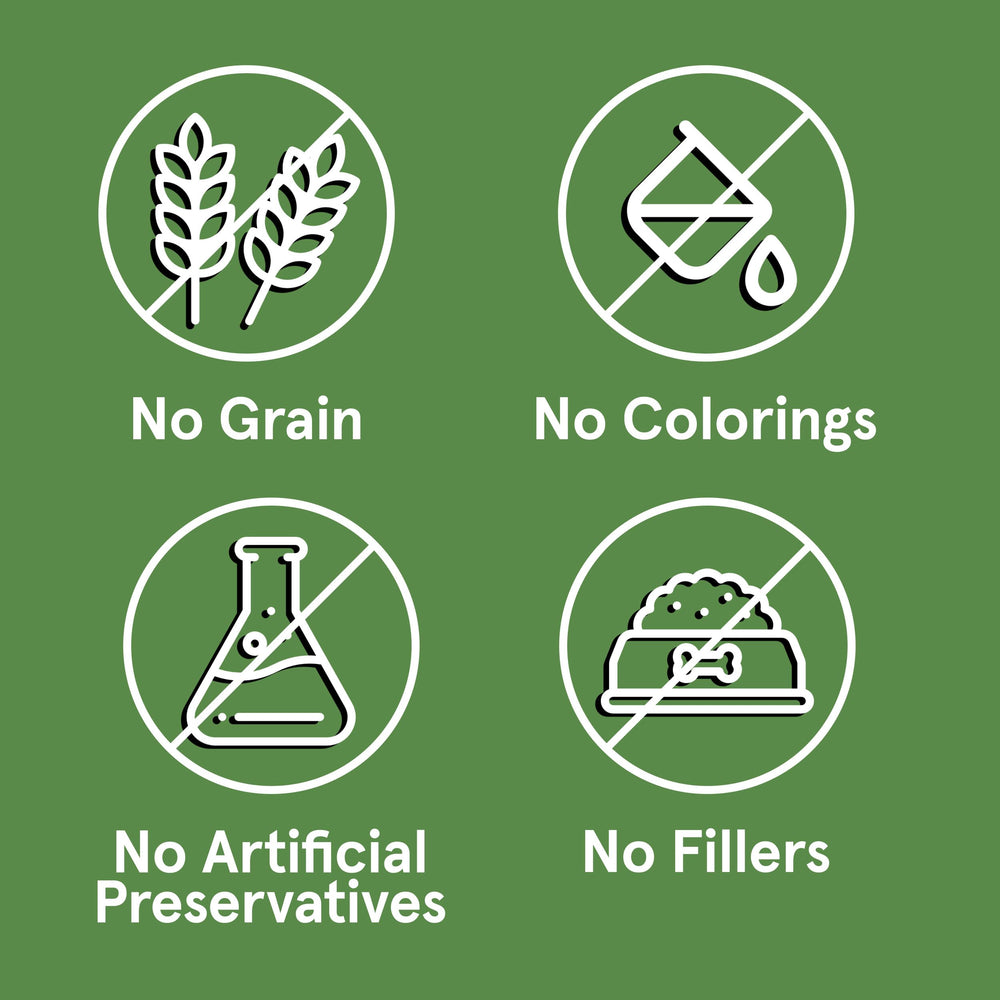 TRMC Real Meat dog feeding bowl showing wholesome, protein-rich meal