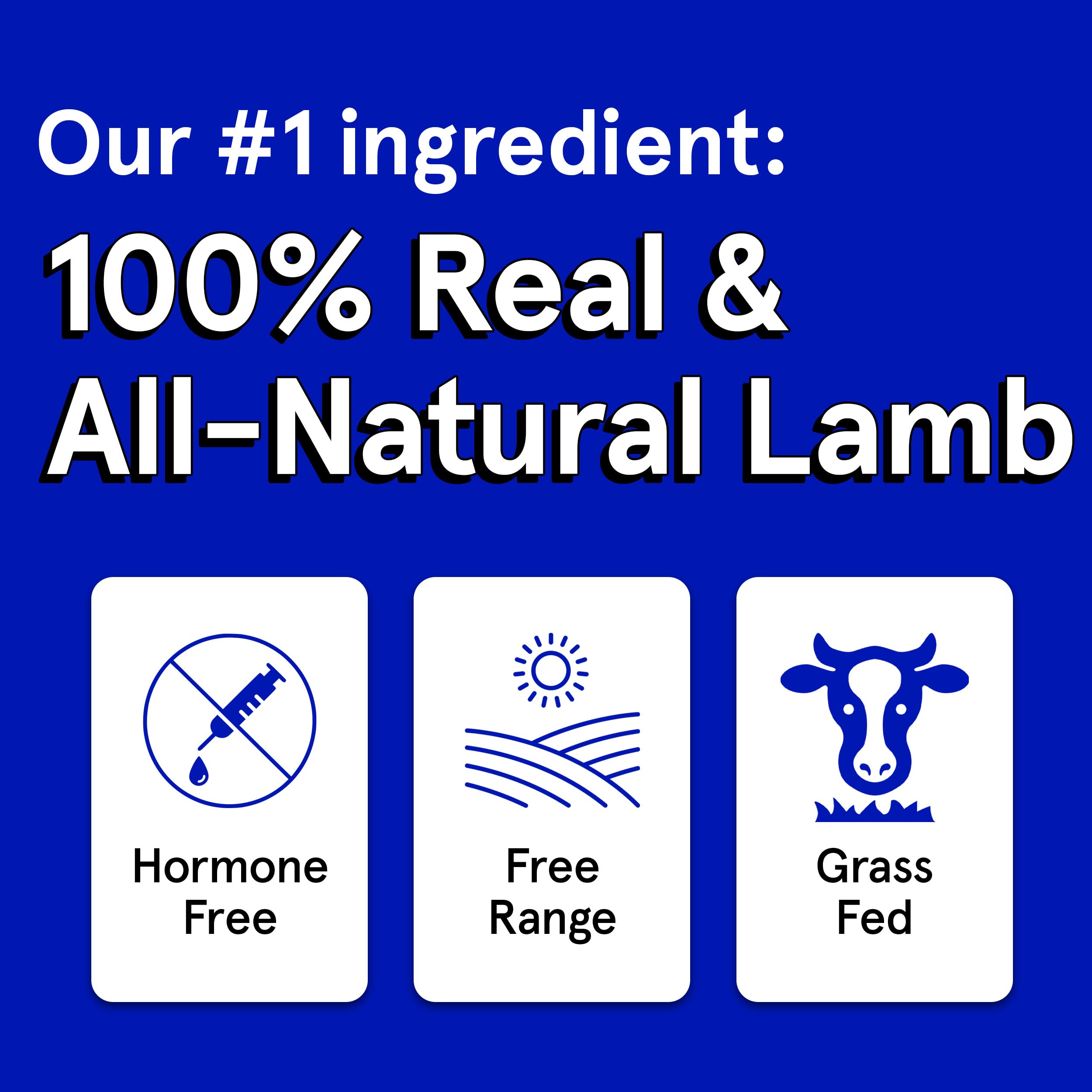 TRMC real meat dog treats bite-sized pieces close-up—easy-to-portion rewards