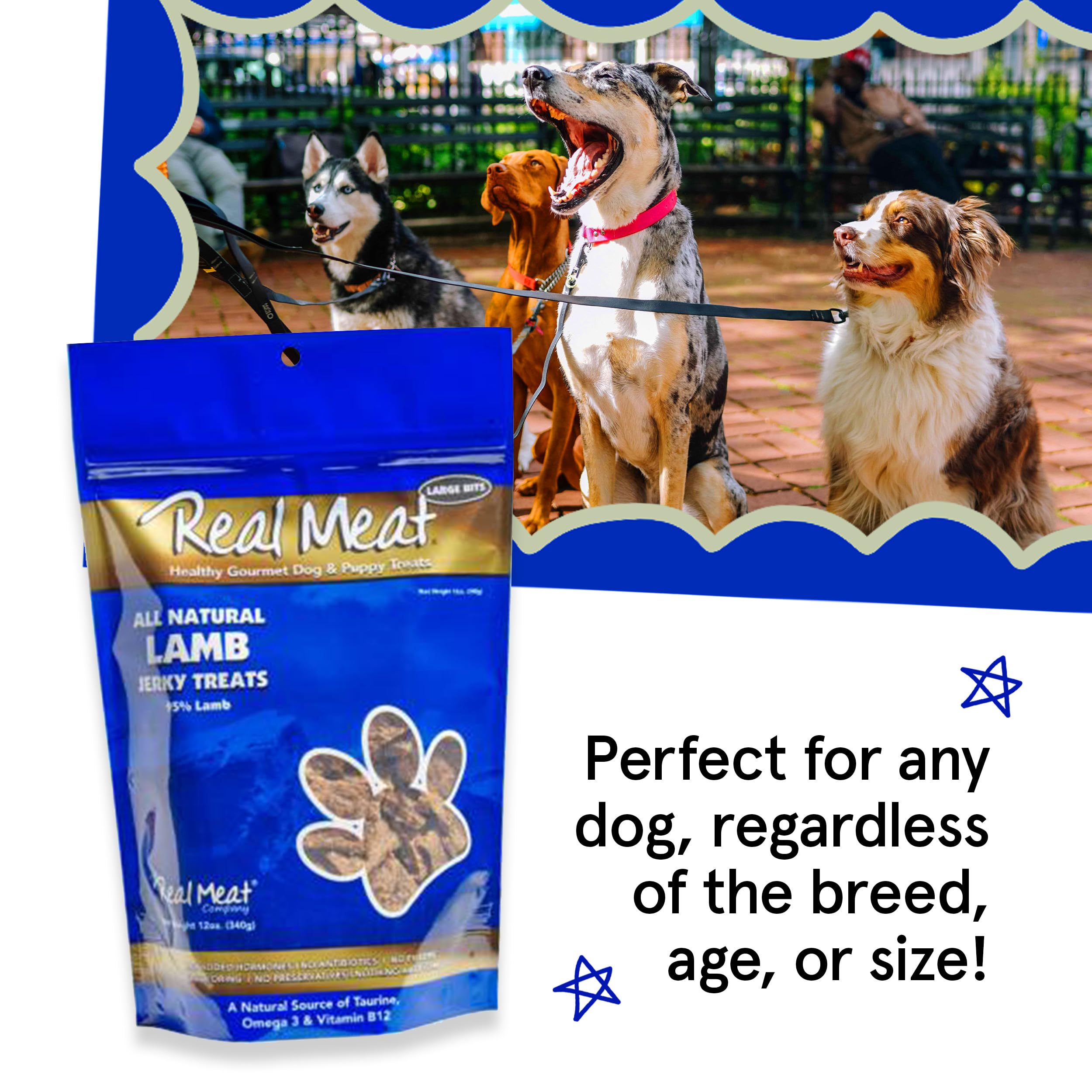TRMC real meat dog treats happy dog enjoying bite-sized jerky—great training snack