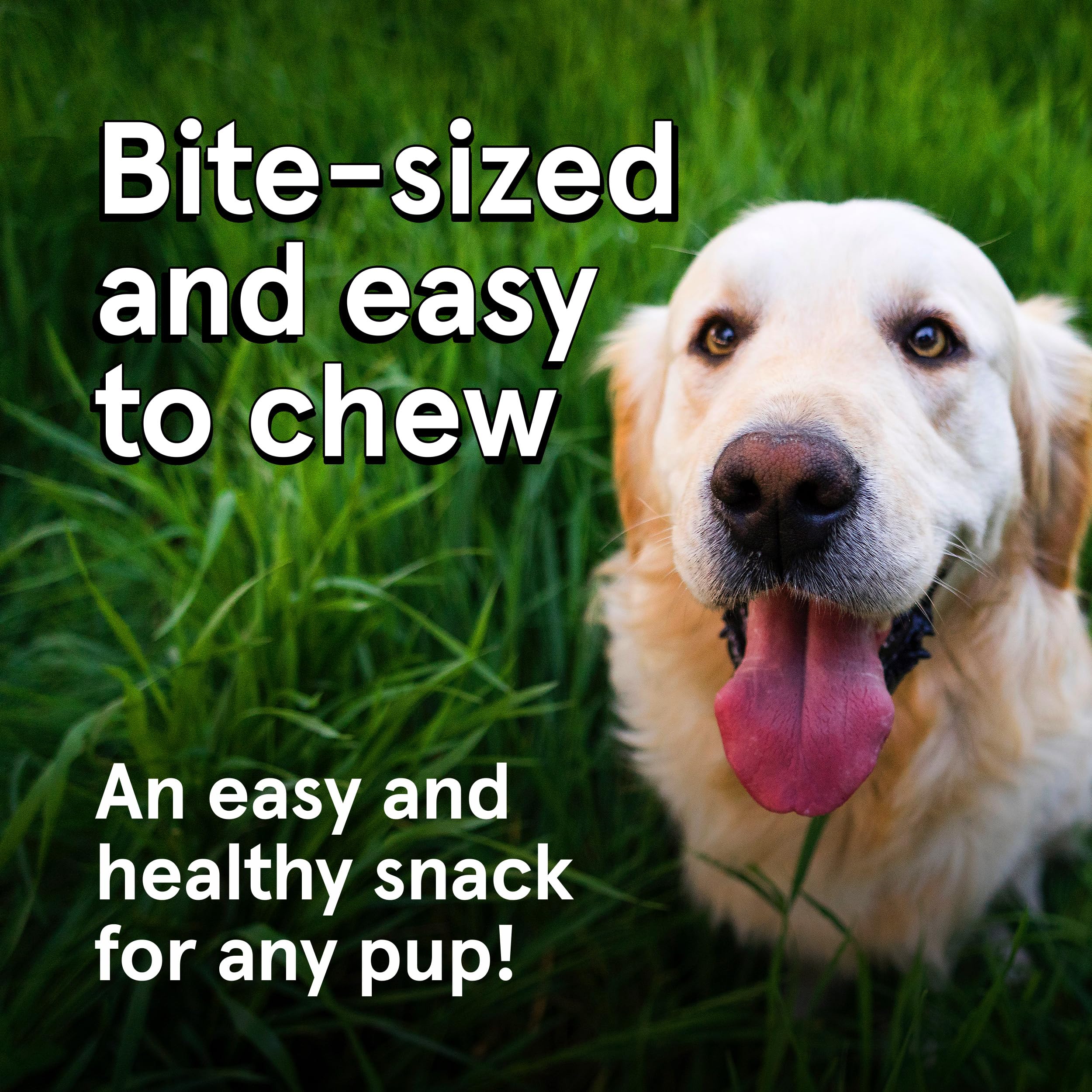 TRMC Real Meat Dog Treats chicken jerky bites ideal for quick snack breaks.