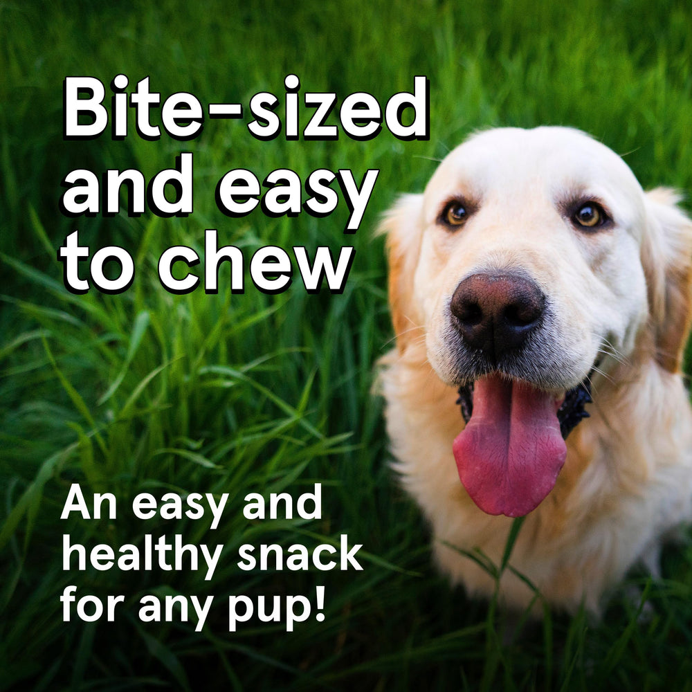 TRMC Real Meat Dog Treats chicken jerky bites ideal for quick snack breaks.