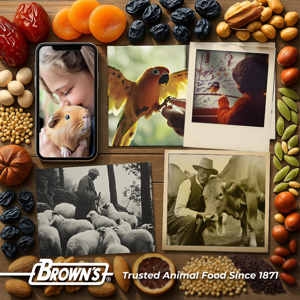 Tropical Carnival grain-free formula image underscores absence of corn, wheat, and soy.