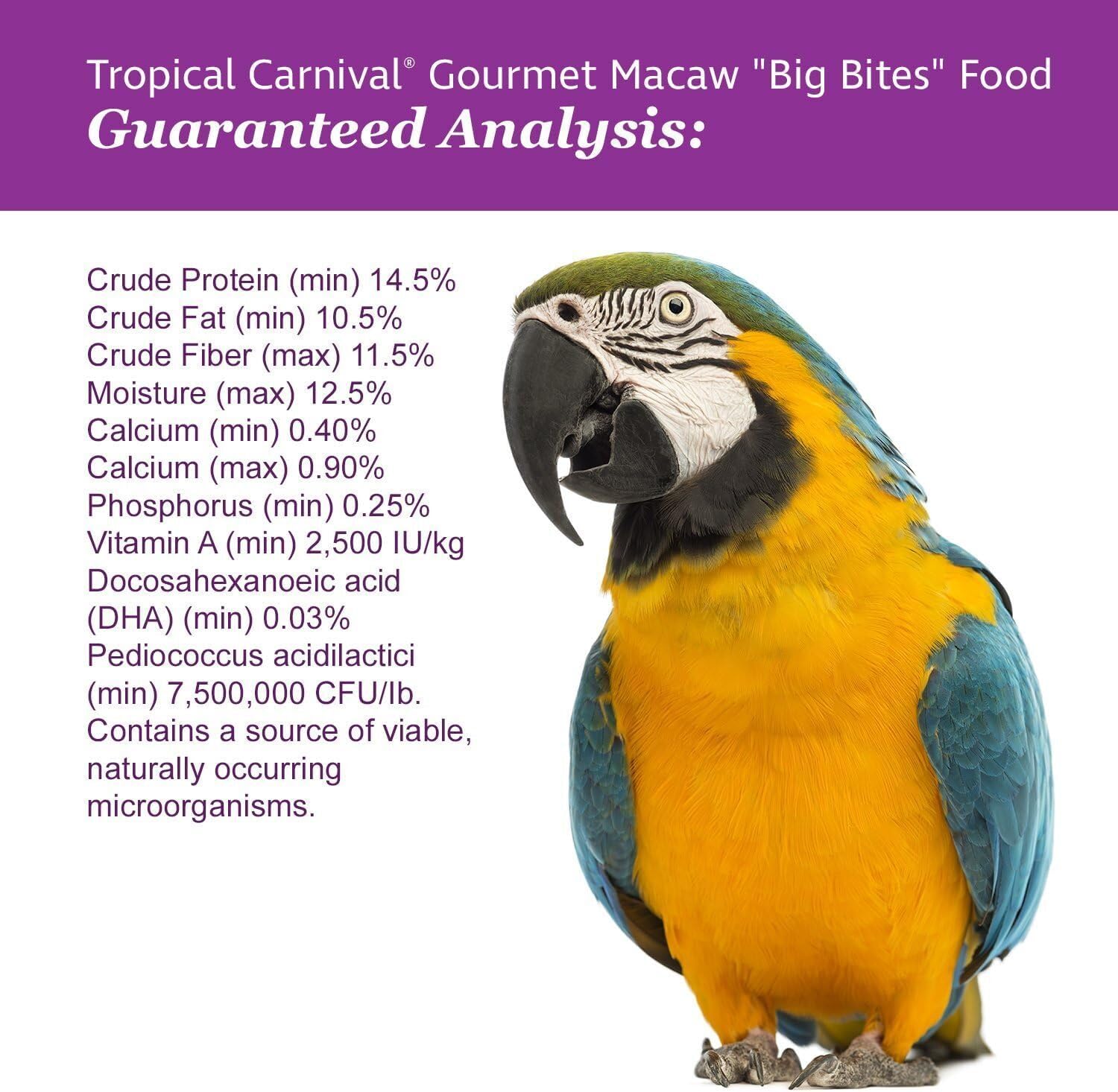 Tropical Carnival immune-support-farm-veggies-visual emphasizes antioxidants from veggies