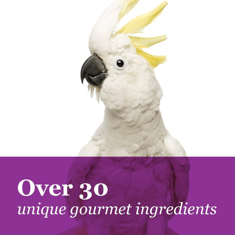 Tropical Carnival macaw-enrichment-snack-colorful-ingredients conveys stimulating daily feeding