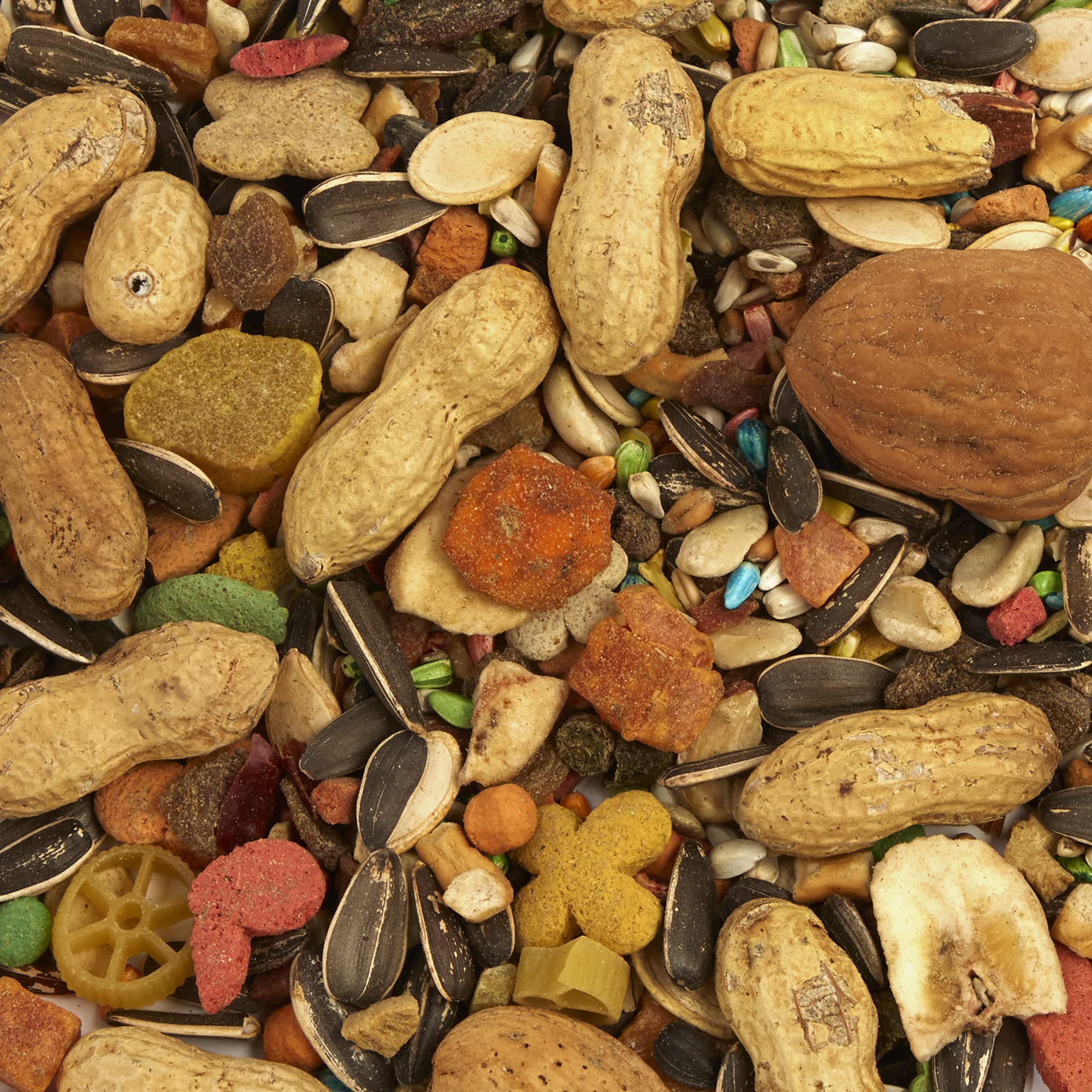 Tropical Carnival mixed nuts and seeds close-up, encouraging enrichment and activity.