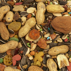 Tropical Carnival mixed nuts and seeds close-up, encouraging enrichment and activity.