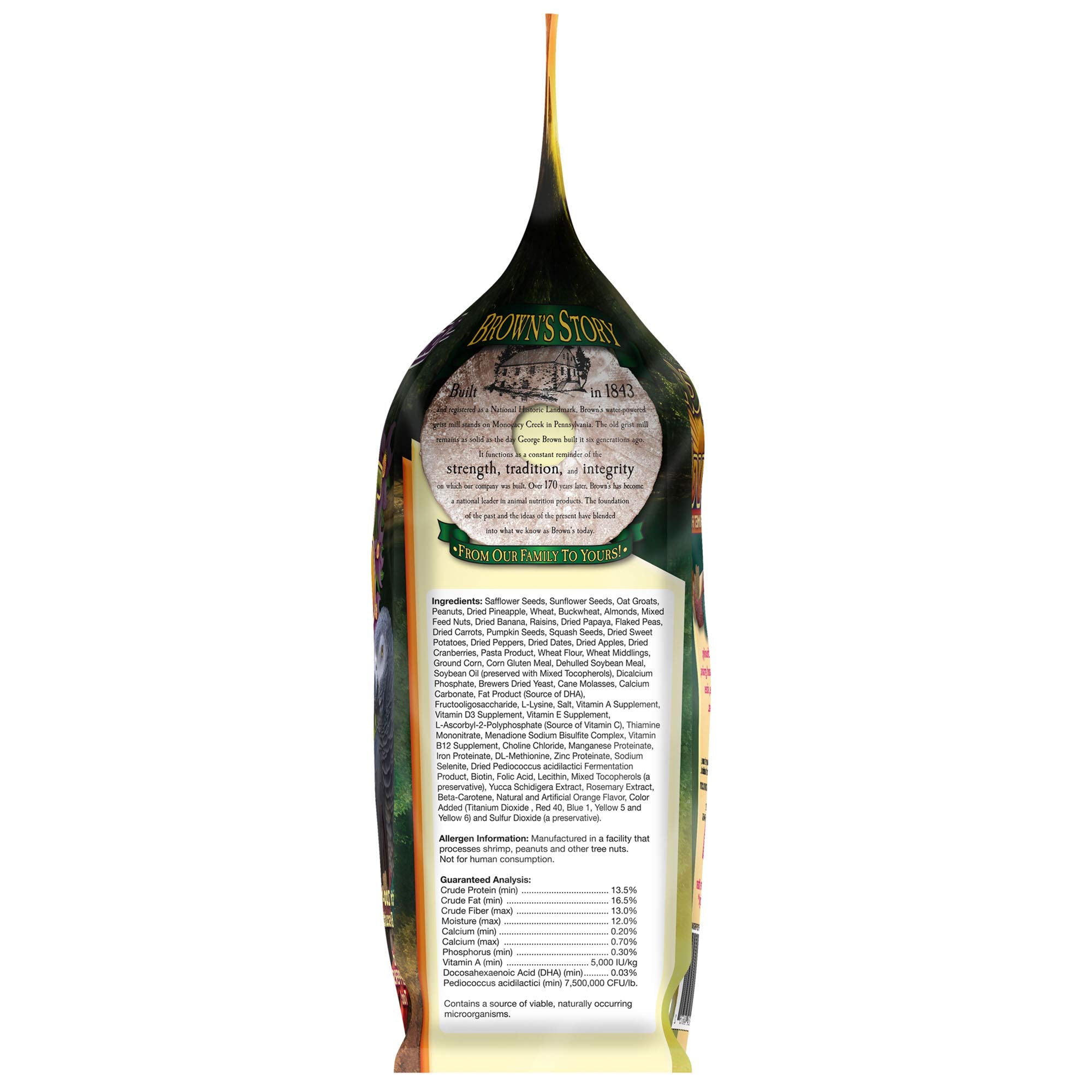 Tropical Carnival Small Hookbill feeding-time captures birds enjoying a daily routine.