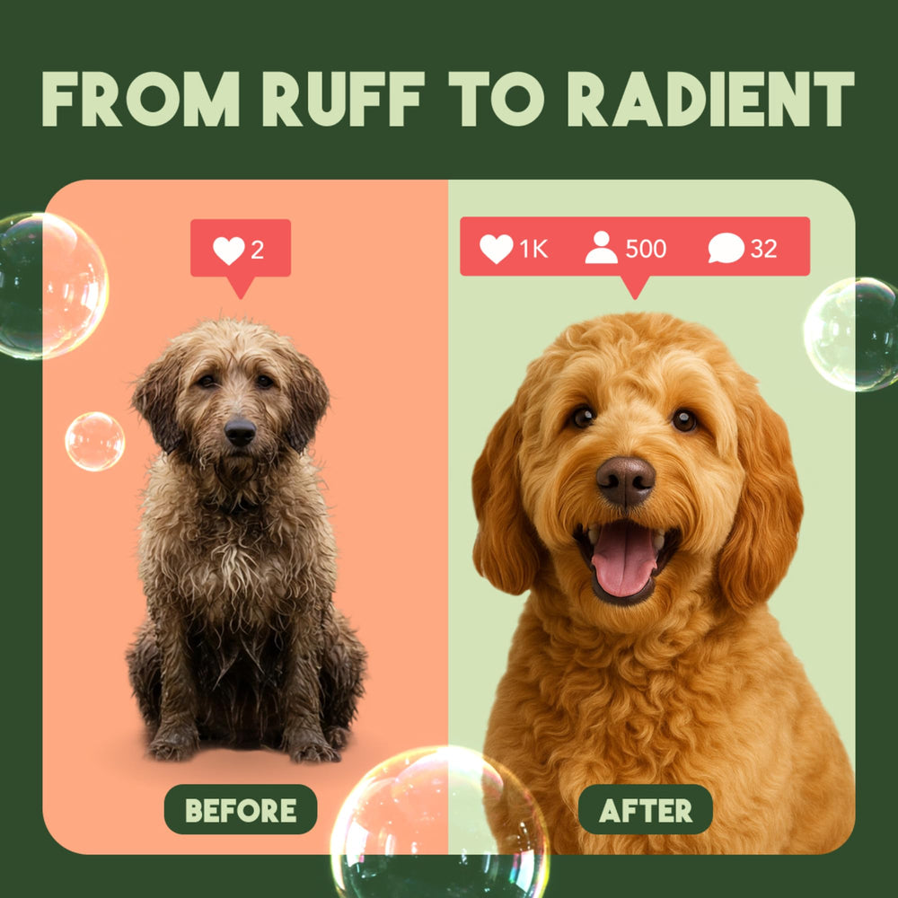 TropiClean 2-in-1 dog shampoo bubbles illustrate tropical papaya-coconut fragrance.