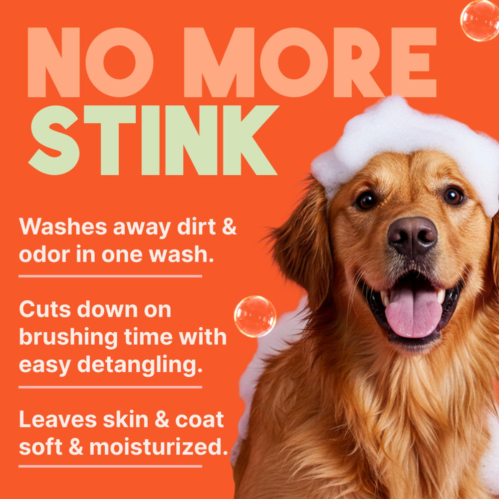 TropiClean 2-in-1 dog shampoo foam-lather demonstrates its cleaning power.